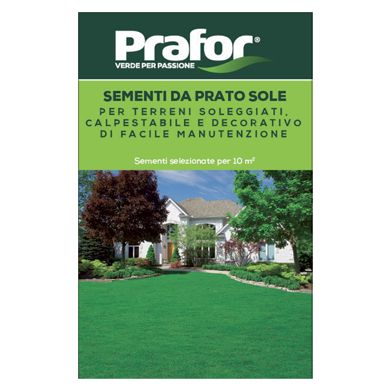 Seme In Miscuglio Per Tappeto Erboso - Agraria Comand - Foto 10