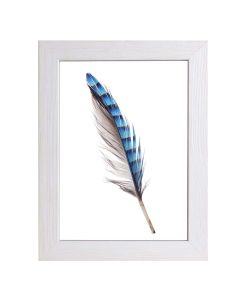 Portafoto newman, 20mm, 13x18 cm, colore bianco