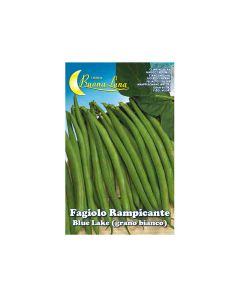 Fagiolo rampicante blue lake, 250 gr