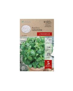 Semi basilico genovese nastro preseminate