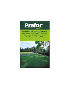 Semi prato forte ombreggiato, 500 gr