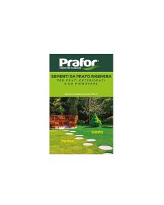 Semi prato rigenerante, 500 gr