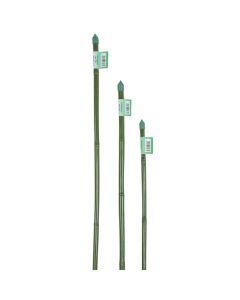 Canna bamboo plastificata, Ø cm 0,80-1xh.60, colore verde