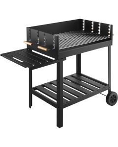 Barbecue a carbonella Bogot 