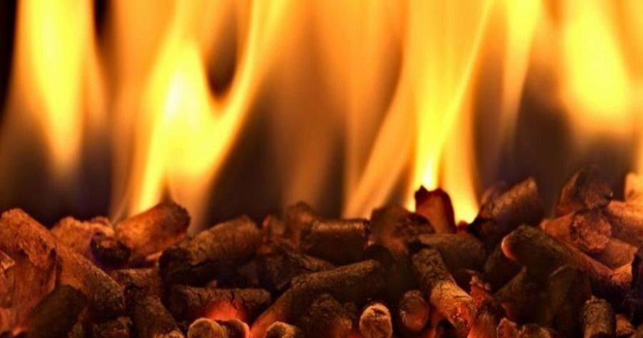 Pellet di qualità: come riconoscerlo!